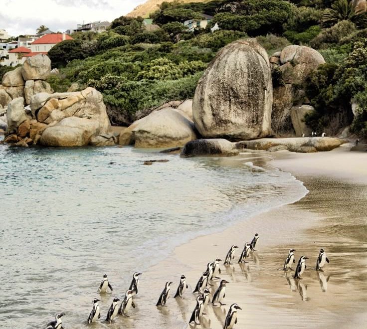Boulders Beach