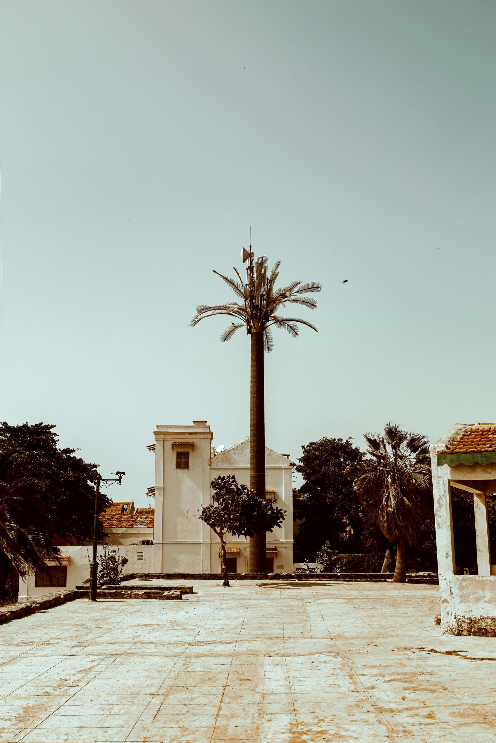 yannaty-kouyate-HTWuHHCwvho-unsplash-scaled