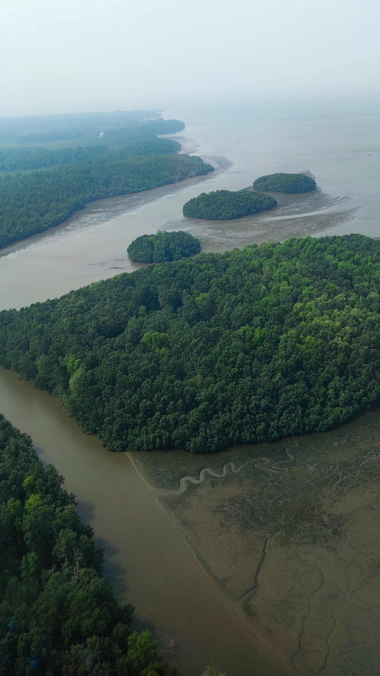 Chenal de mangrove de la reserve de Douala-Edea