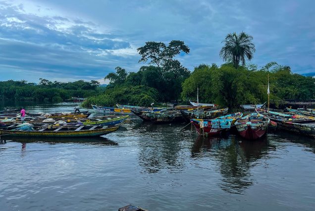 Pirogues de pêcheurs sur la côte camerounaise