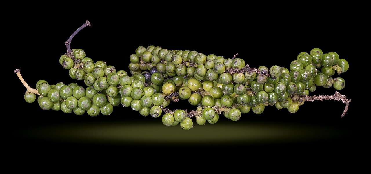 Grains de poivre frais de Penja, Cameroun