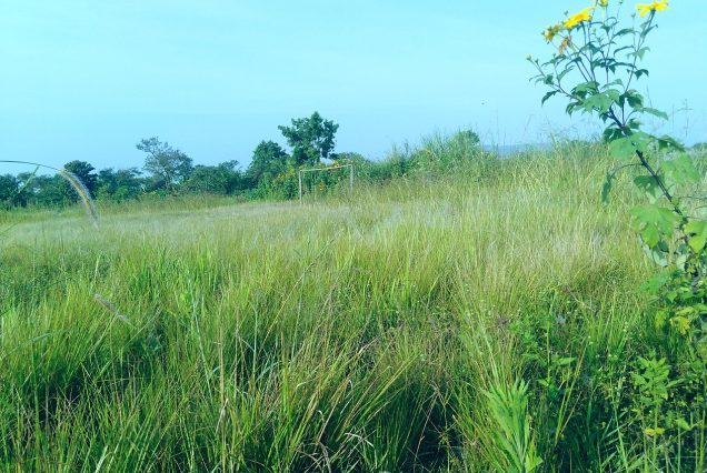 Paysage des hauts plateaux de l'Ouest camerounais
