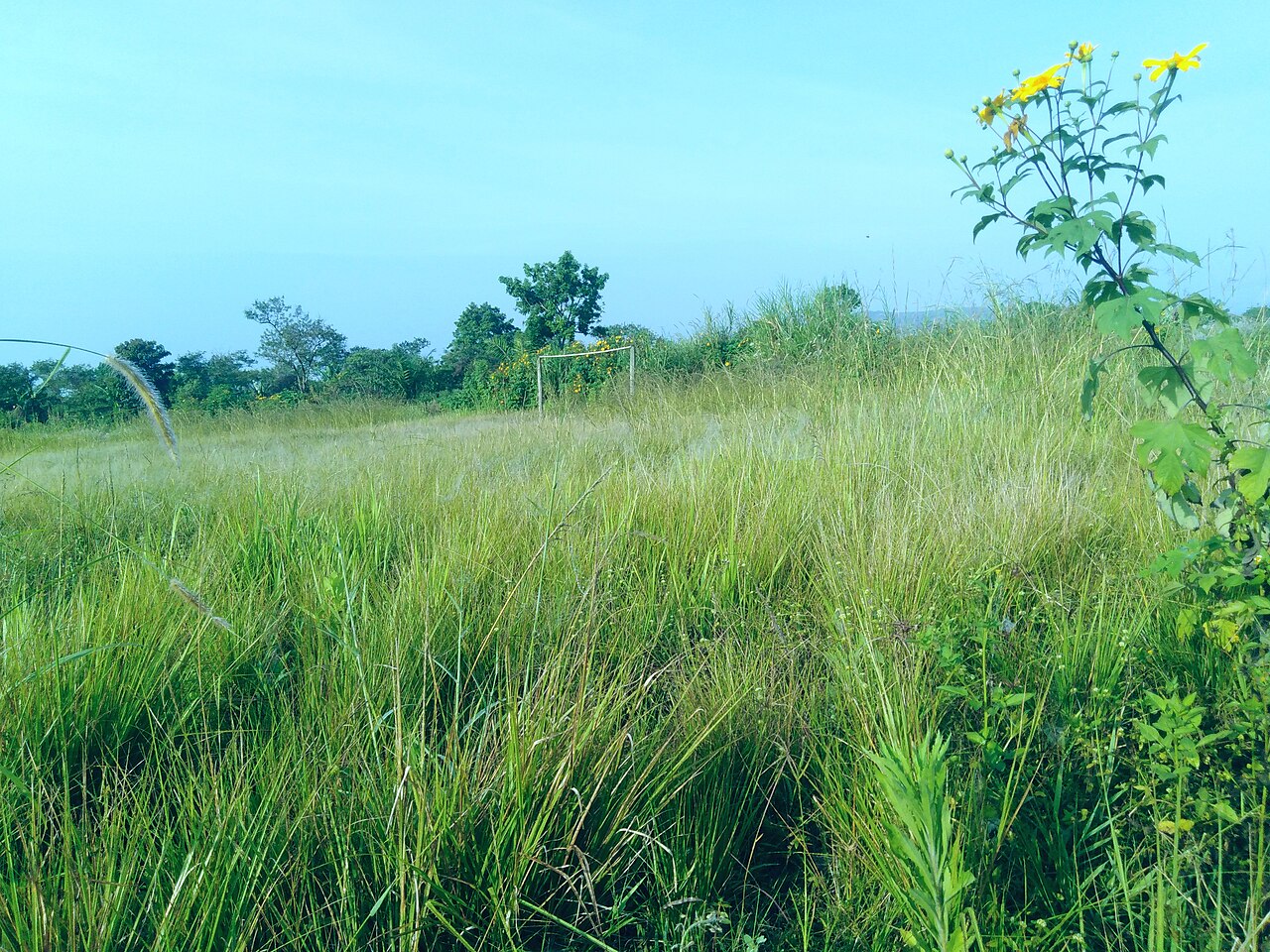 Paysage des hauts plateaux de l Ouest camerounais