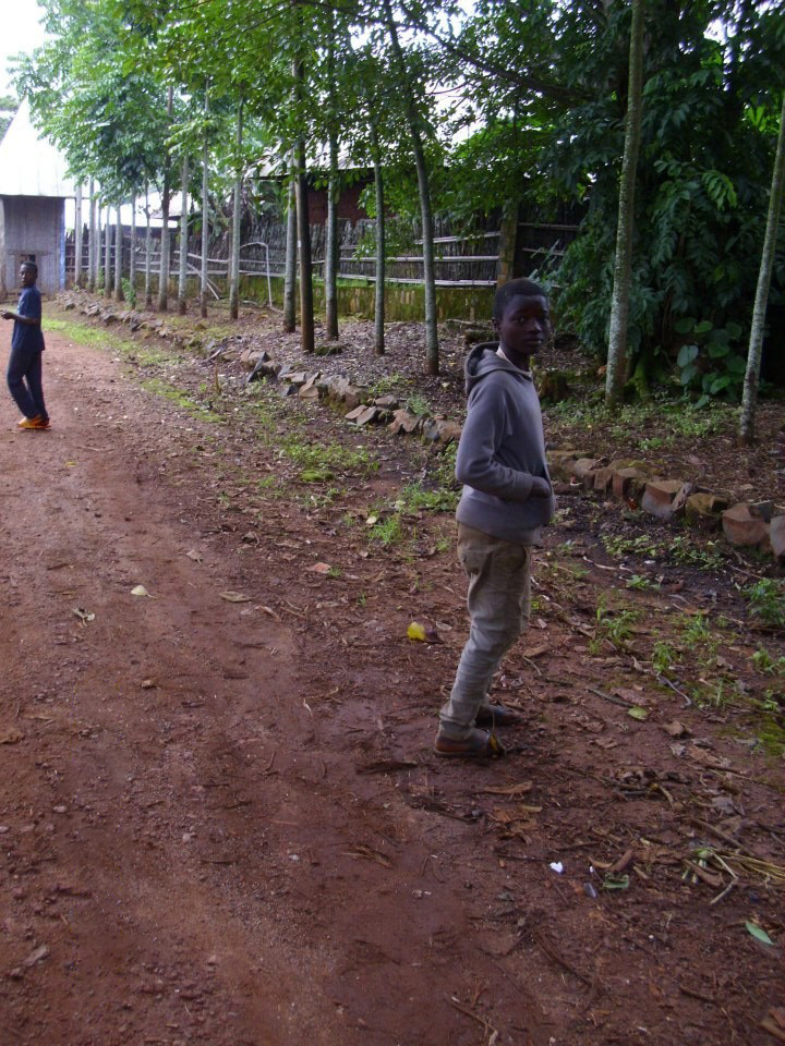 Chefferie de Batoufam, Ouest du Cameroun