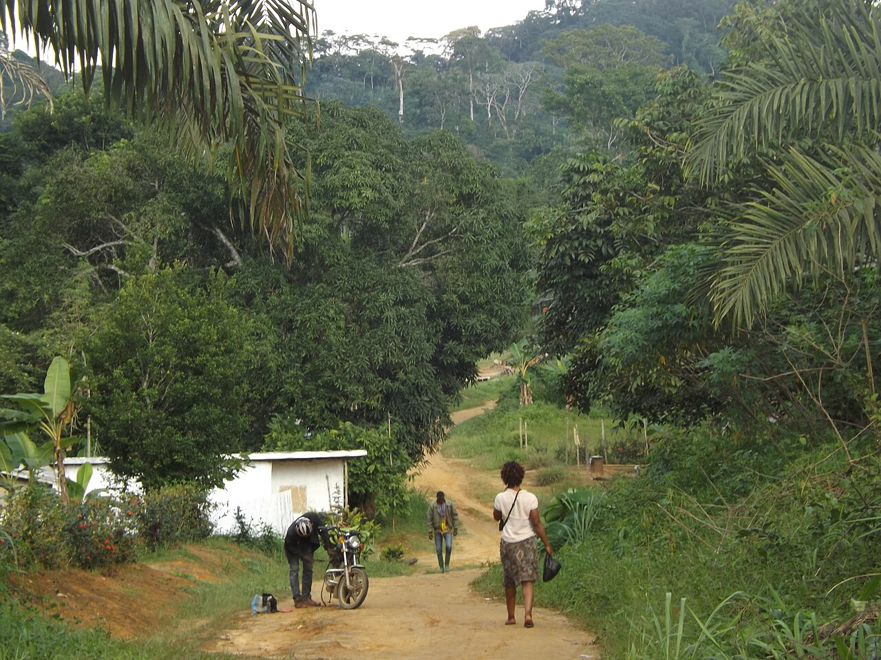 Route et paysage de village au Cameroun