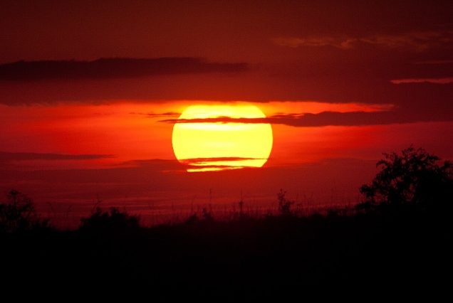 Coucher de soleil sur la savane du Masai Mara
