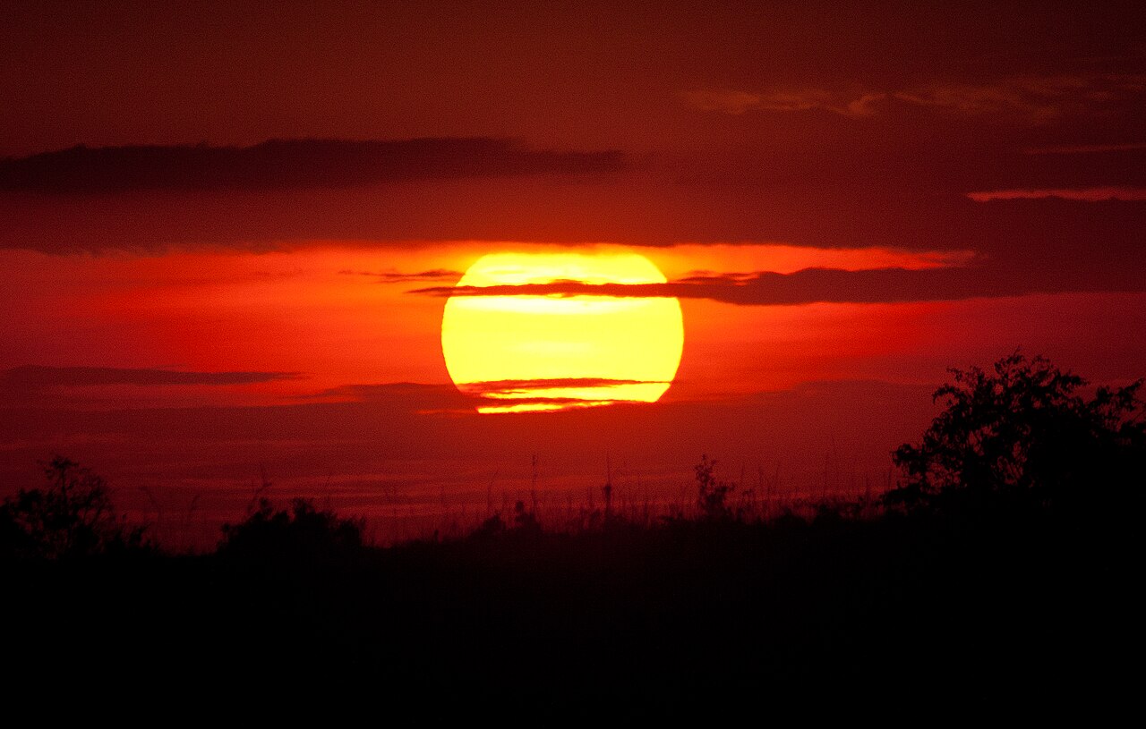 Coucher de soleil sur la savane du Masai Mara