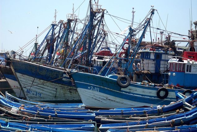 Le port de pêche d'Essaouira et ses barques bleues