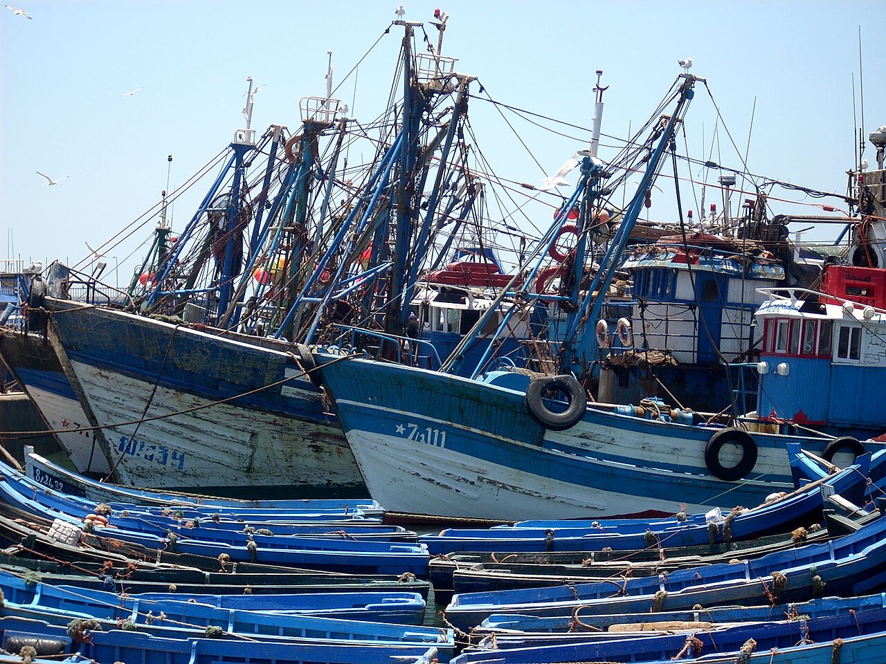 Le port de peche d Essaouira et ses barques bleues