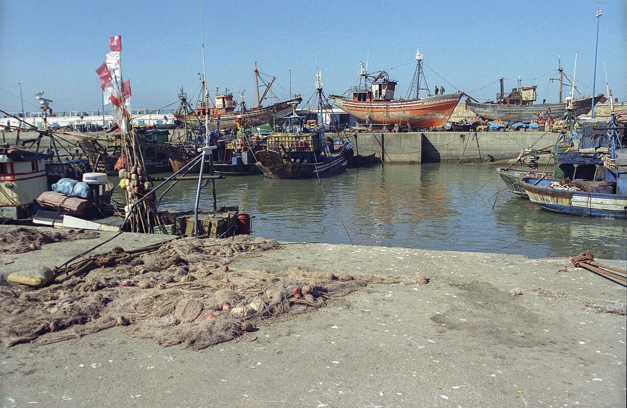Etals et activite du port de peche d Essaouira