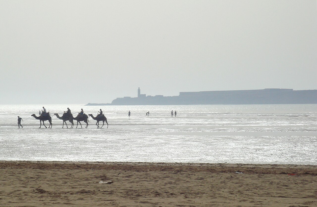 L ile de Mogador vue depuis la plage d Essaouira