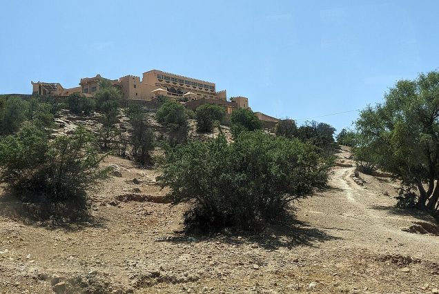 La kasbah de Tiout dominant la palmeraie
