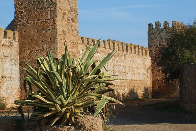 Les remparts de la nécropole mérinide de Chellah à Rabat
