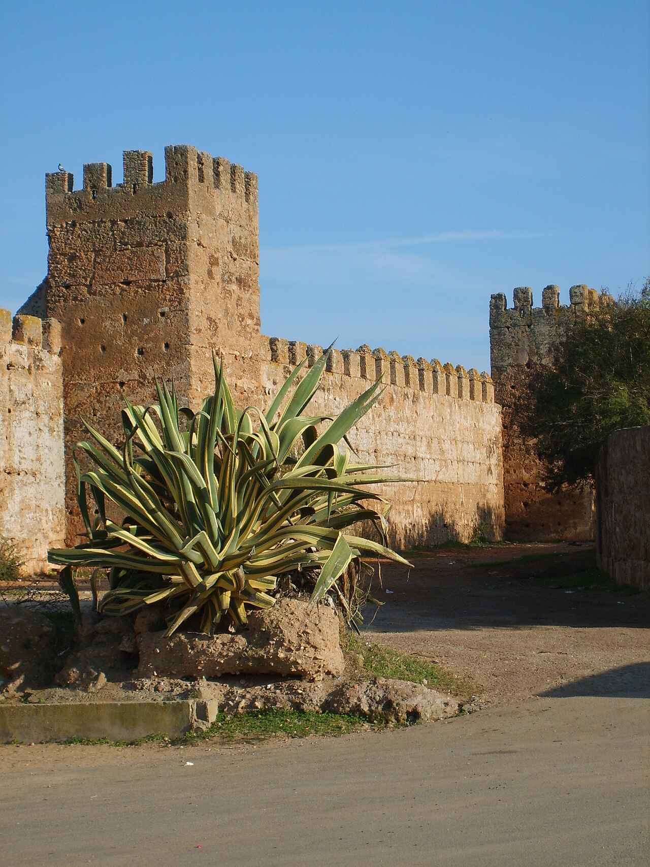 Les remparts de la necropole merinide de Chellah