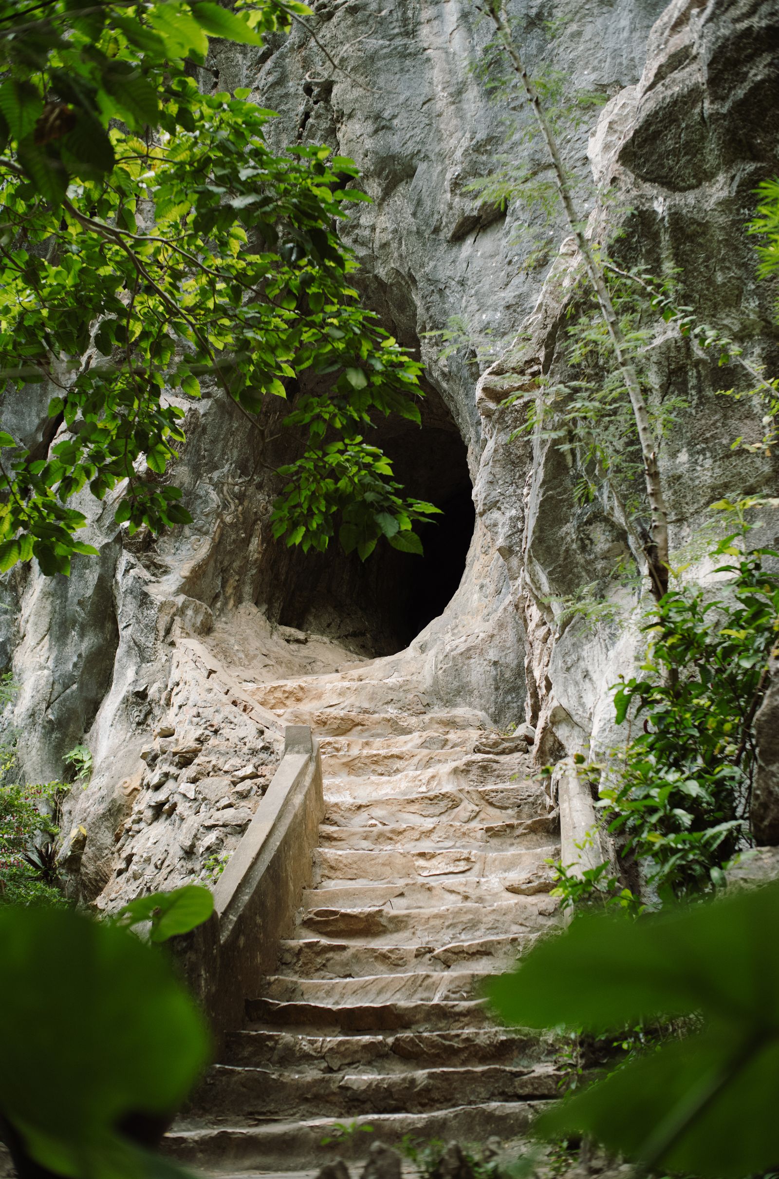 Escalier menant a l entree d une grotte dans la vegetation
