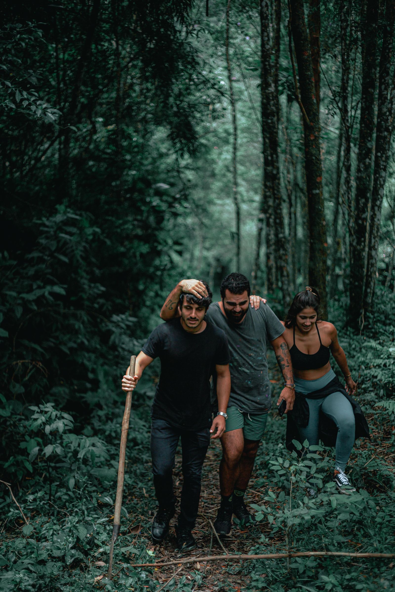 Groupe de randonneurs dans une foret tropicale dense