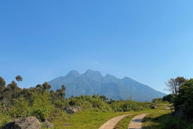 Le mont Bisoke sous un ciel bleu, chaîne des Virunga
