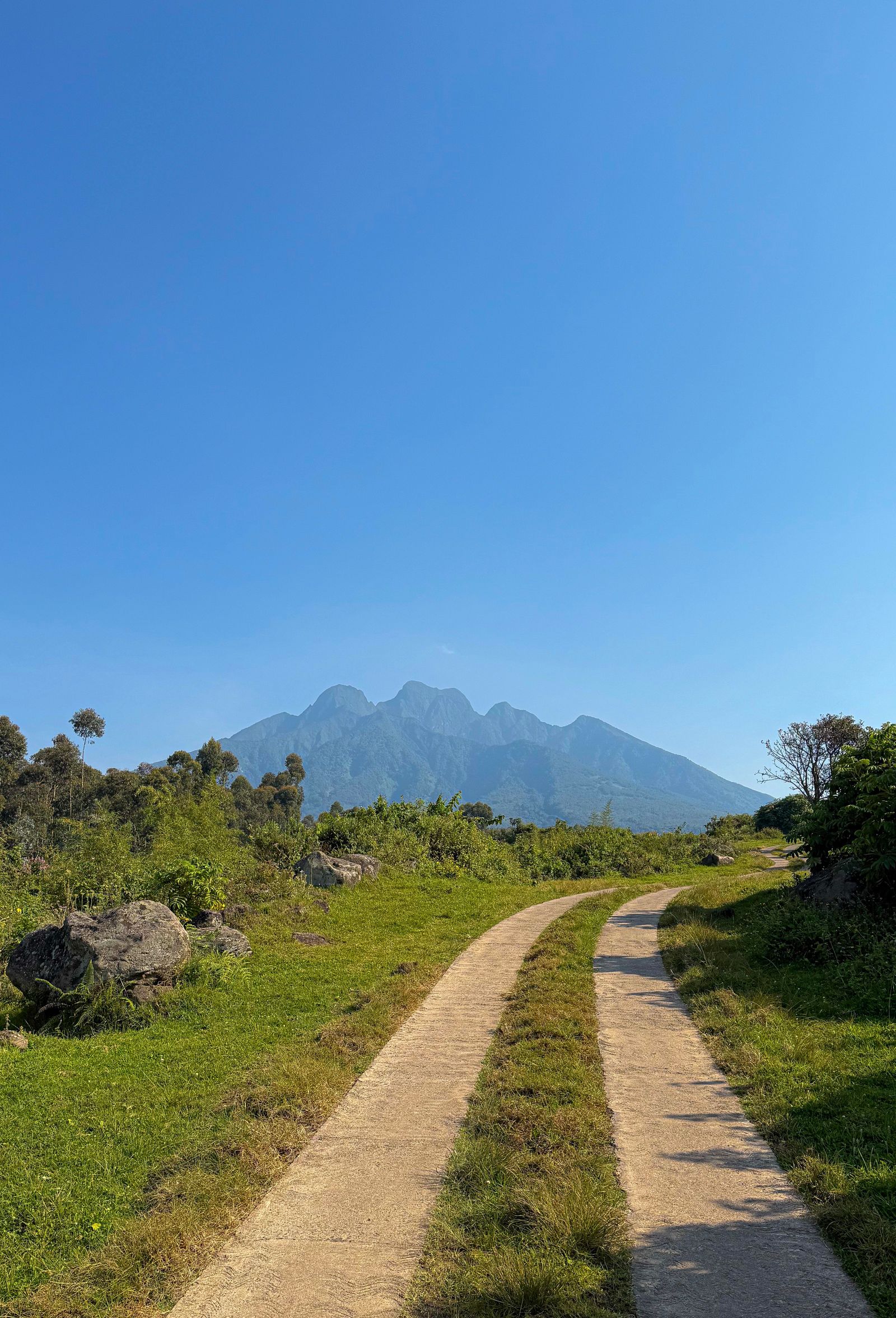 Le mont Bisoke sous un ciel bleu, chaine des Virunga