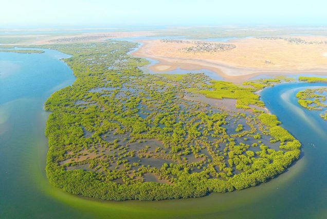 Le delta du Sine-Saloum, réserve de biosphère