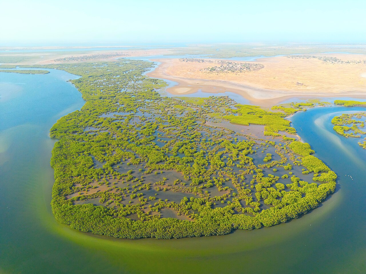 Le delta du Sine-Saloum, reserve de biosphere