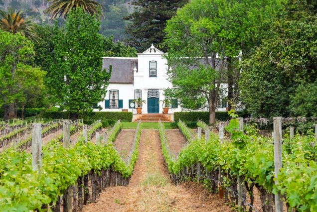 Manoir cape-hollandais et vignes, vallée de Constantia